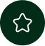 star-icon