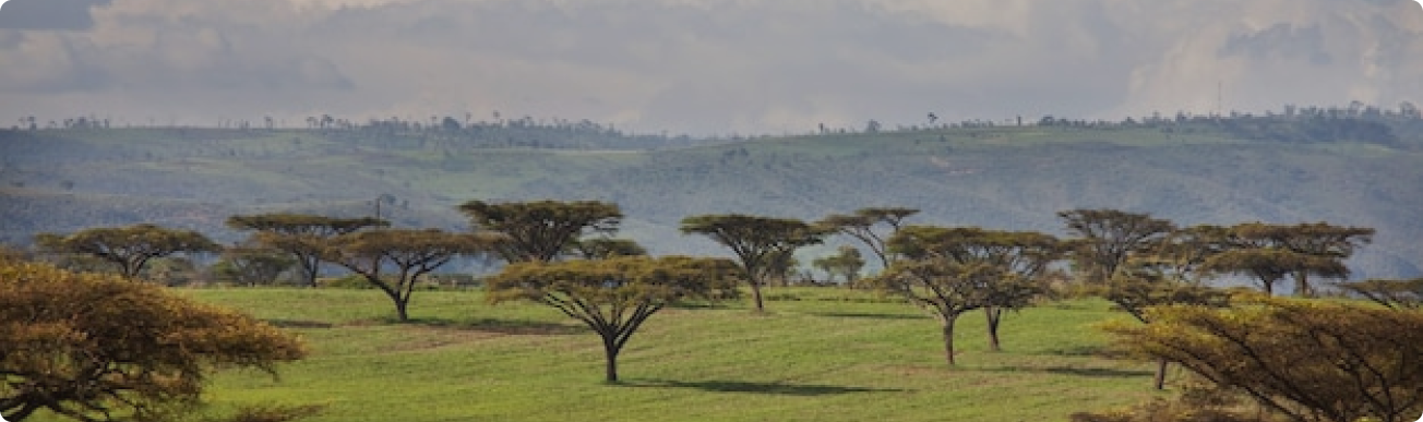 kenya-banner